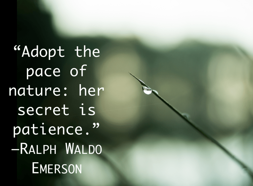 Screen Shot 2015-04-10 at 4.57.14 PM