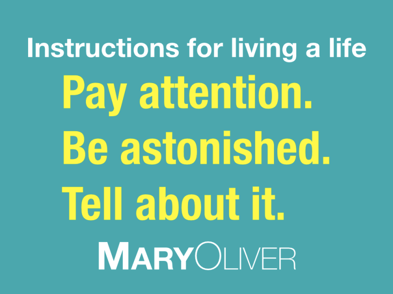 Screenshot 2015-05-02 20.19.24